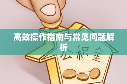 老城高效操作指南与常见问题解析