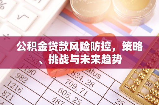 老城公积金贷款风险防控，策略、挑战与未来趋势