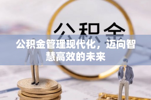 老城公积金管理现代化，迈向智慧高效的未来
