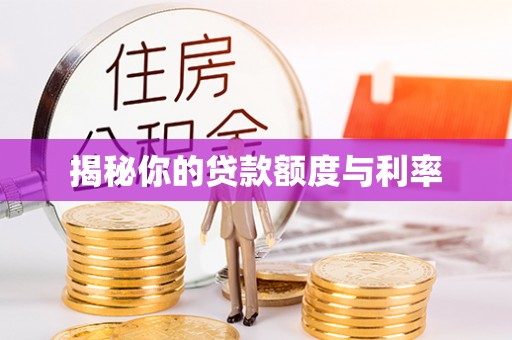 老城揭秘你的贷款额度与利率