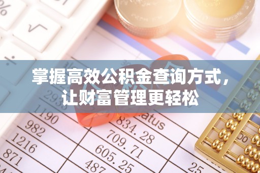 老城掌握高效公积金查询方式，让财富管理更轻松