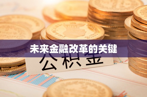 老城未来金融改革的关键