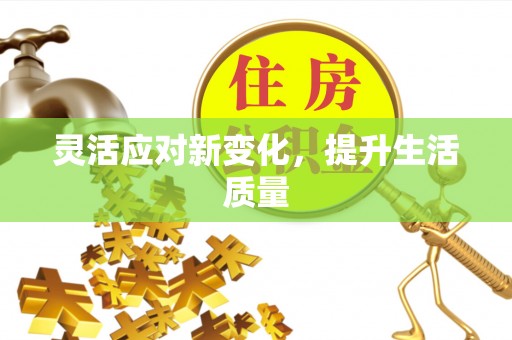 老城灵活应对新变化，提升生活质量