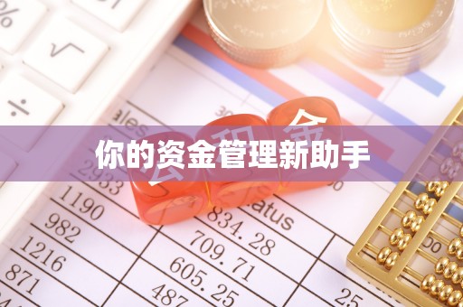 老城你的资金管理新助手