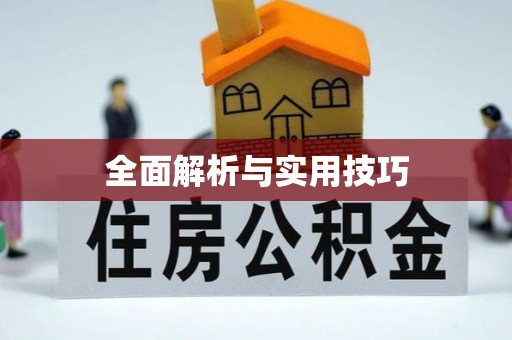老城全面解析与实用技巧