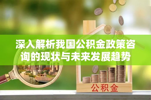 老城深入解析我国公积金政策咨询的现状与未来发展趋势