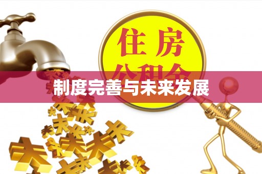 老城制度完善与未来发展