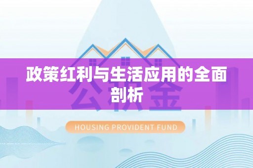 老城政策红利与生活应用的全面剖析