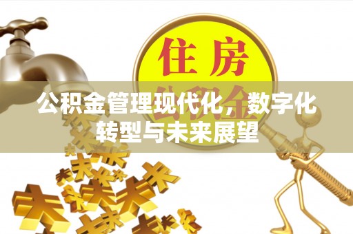 老城公积金管理现代化，数字化转型与未来展望